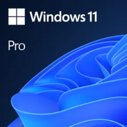 10969-Microsoft Windows 11 Pro 1 licencia(s)