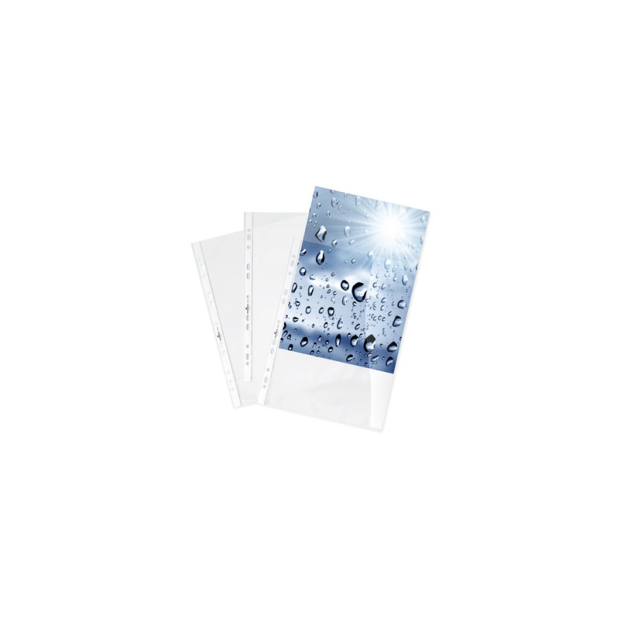 14663-Durable 2676-19 protector de hojas 210 x 297 mm (A4) Polipropileno (PP) 100 pieza(s)
