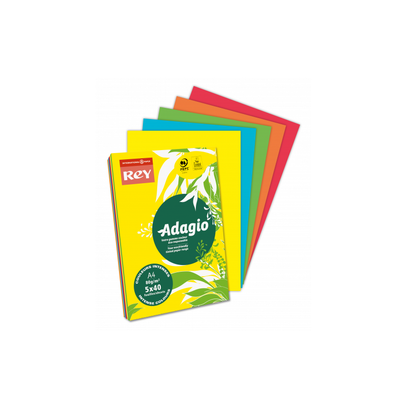 1561-PAQUETE 500H PAPEL 80GR A4 NARANJA INTENSO ADAGIO 40002484 1561-PAQUETE 500H PAPEL 80GR A4 NARANJA INTENSO ADAGIO 40002484