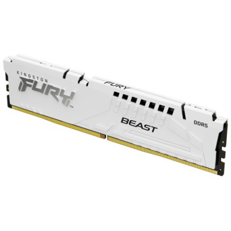 16759-Kingston Technology FURY Beast modulo de memoria 16 GB 1 x 16 GB DDR5