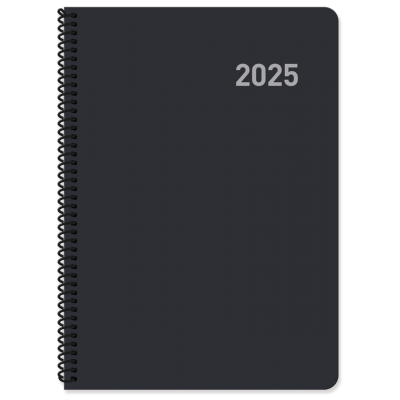 AGENDA 2025 PARIS DIA PAGINA 15x21 COLSURTIDOS ESPIRAL CASTELLANO INGRAF 355425