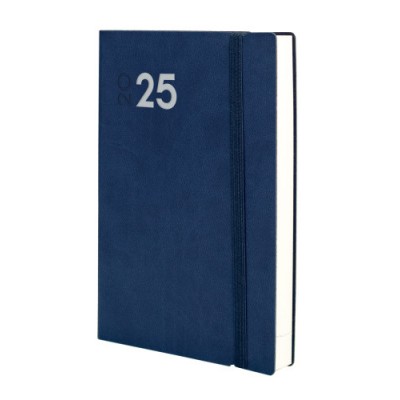 AGENDA 2025 DYNAMIC MARA Y11 164X240MM DIA PAGINA AZUL FINOCAM 621981025