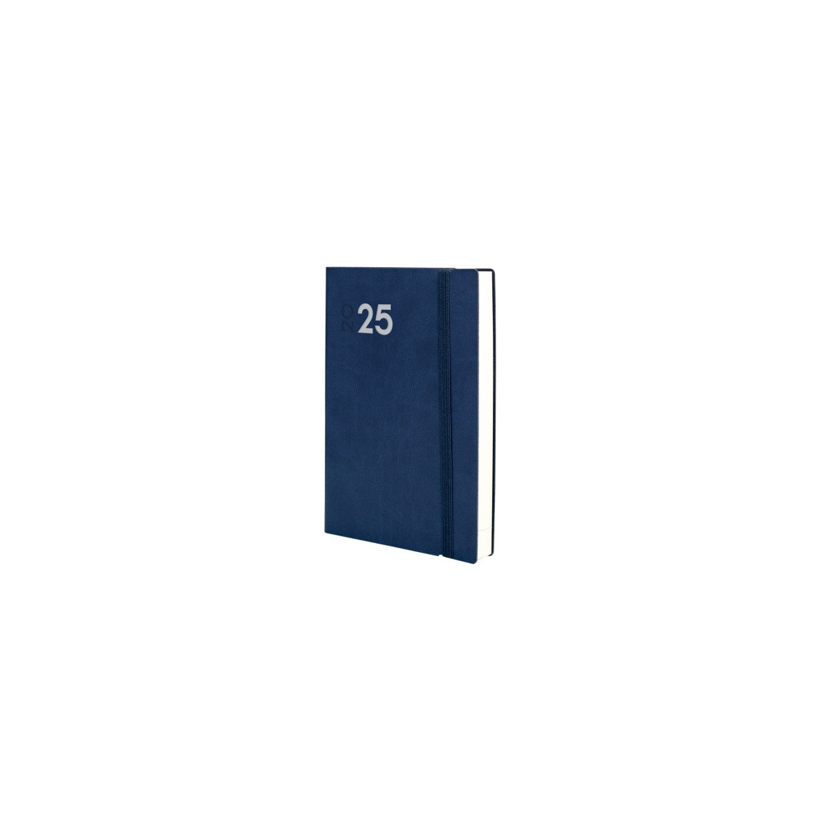 AGENDA 2025 DYNAMIC MARA Y11 164X240MM DIA PAGINA AZUL FINOCAM 621981025