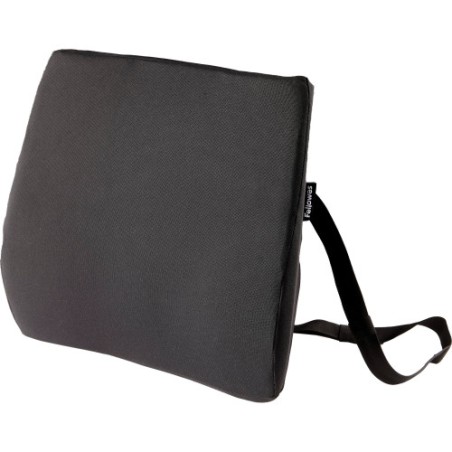 19596-RESPALDO LUMBAR ACOLCHADO ESPUMA BREYTA COMFORT FELLOWES 100119852