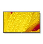 20910-NEC MultiSync M551-2 Diseno de quiosco 127 cm (50") LED 4K Ultra HD Negro Procesador incorporado