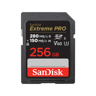 SanDisk SDSDXEP 256G GN4IN memoria flash 256 GB SDXC UHS II Clase 10