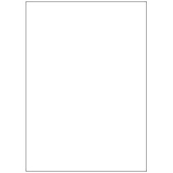 2404-CAJA 100 HOJAS ETIQUETAS BLANCAS SIN MARGENES-LASER/INYECCION DE TINTA/FOTOCOPIADORAS-210X297 MM MEGASTAR LP4MS-210