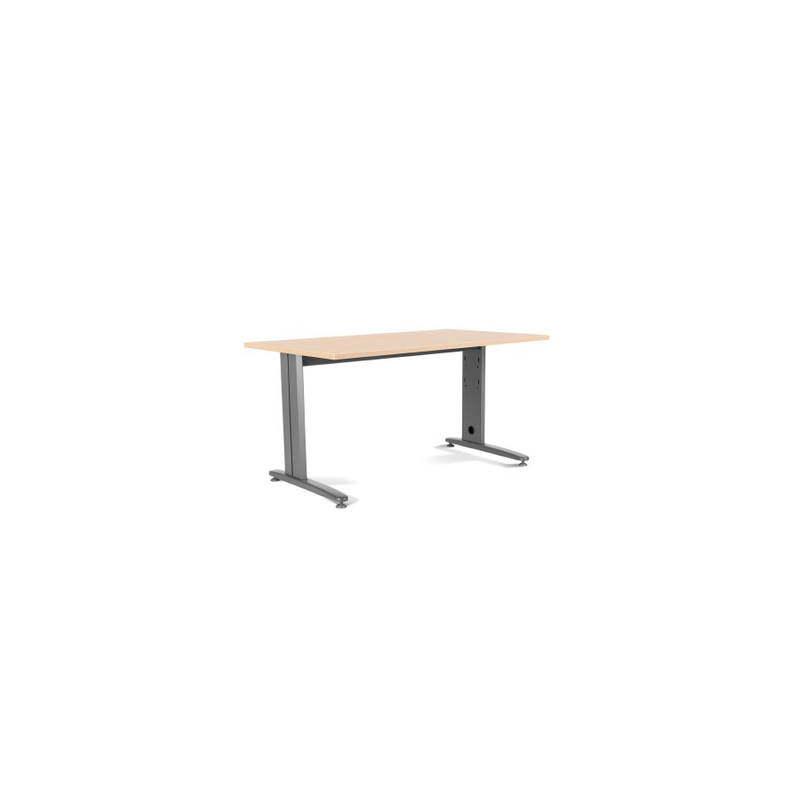 2858-MESA DE OFICINA SERIE METAL 160X80 GRIS / HAYA ROCADA 2002AC01 2858-MESA DE OFICINA SERIE METAL 160X80 GRIS / HAYA ROCADA 2002AC01