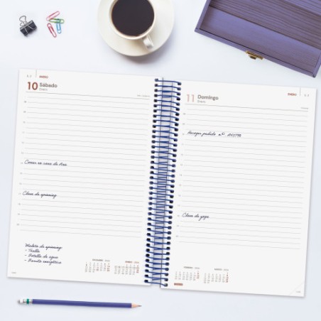30654-AGENDA 2026 BASIC YEAR E11 165X242MM DIA PAGINA AZUL FINOCAM 742071026