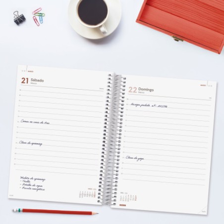 30698-AGENDA 2026 BASIC YEAR E10 155X212MM DIA PAGINA ROJO FINOCAM 741103026