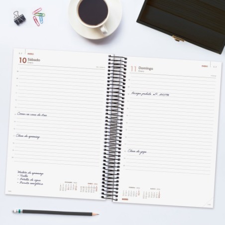 30699-AGENDA 2026 BASIC YEAR E11 165X242MM DIA PAGINA NEGRO FINOCAM 742076026