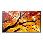 32938-Sharp MultiSync M432 Pantalla plana para senalizacion digital 108 cm (42.5") LCD 550 cd / m2 4K Ultra HD Negro