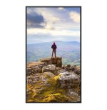 34575-SHARP ESSENTIAL DISPLAYS MODEL PN-E439, 43" E-SERIES LARGE FORMAT DISPLAY, UHD, 350CD/M2, D-LED BACKLIGHT, 16/7 PR