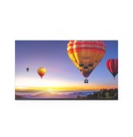 35832-NEC LED-E025i-217 Interior