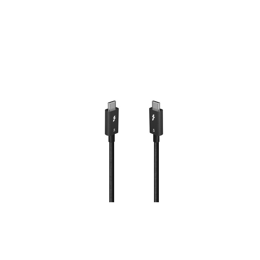 36247-Lindy 31130 cable Thunderbolt 1 m 80 Gbit/s Negro