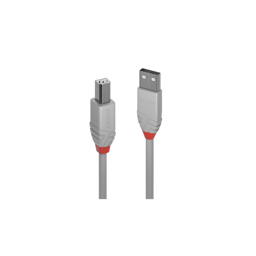 36513-Lindy 36681 cable USB USB 2.0 0,5 m USB A USB B Gris