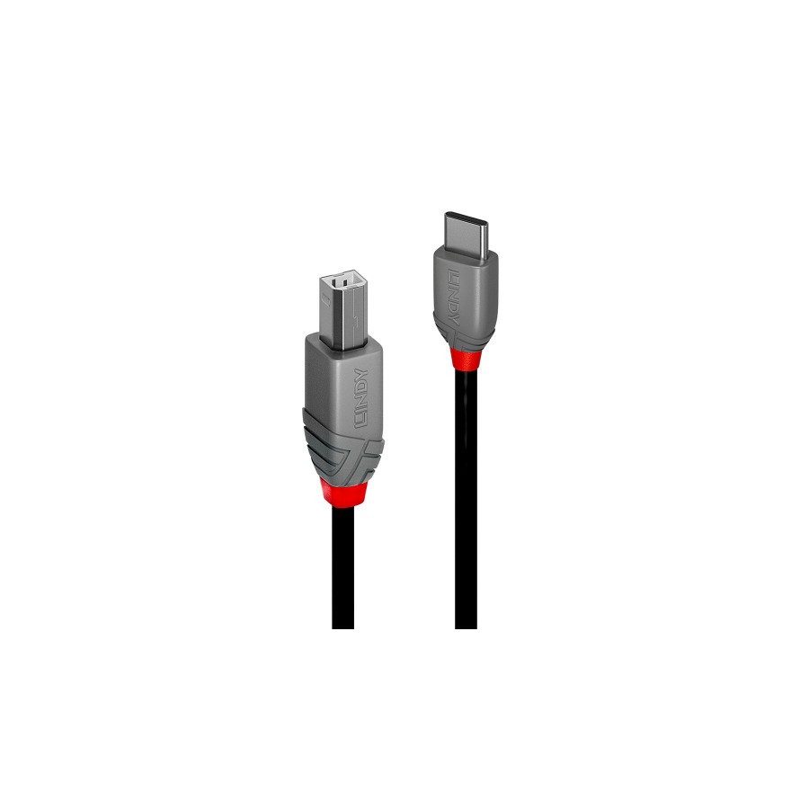 36705-Lindy 36942 cable USB USB 2.0 2 m USB C USB B Negro