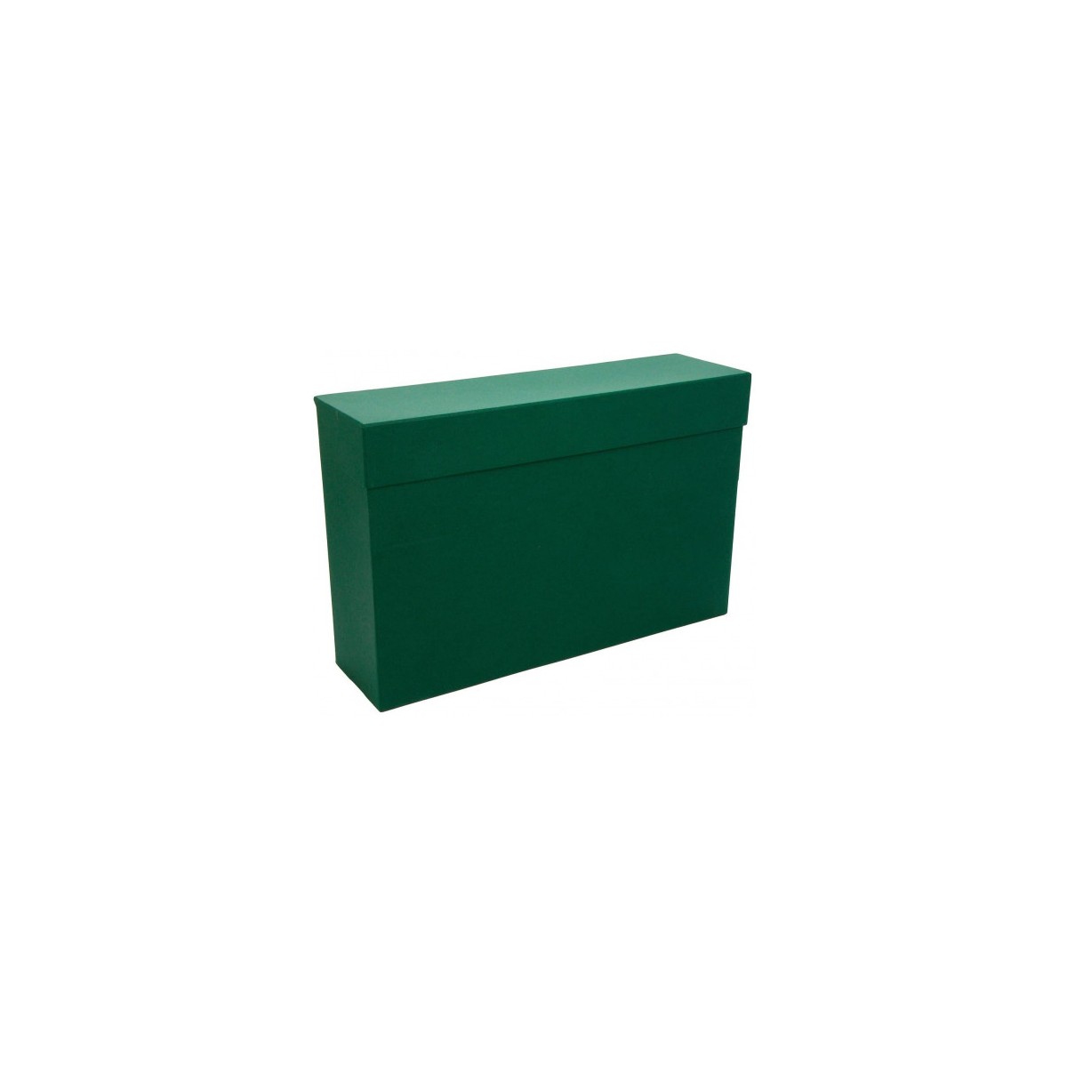 CAJA TRANSFERENCIA FOLIO CARTON FORRADO EN GELTEX 39X255 X11 CM VERDE MARIOLA 1685VE