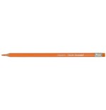 8752-Alpino Estuche 12 lapices de colores borrables