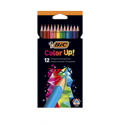 ESTUCHE 12 LAPICEROS INTENSITY UP COLORES SURTIDOS BIC 9505273